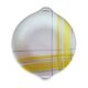 Salins cake dish
