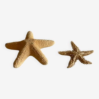 Duo Etoiles de mer vintage