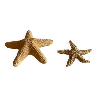 Vintage Starfish Duo