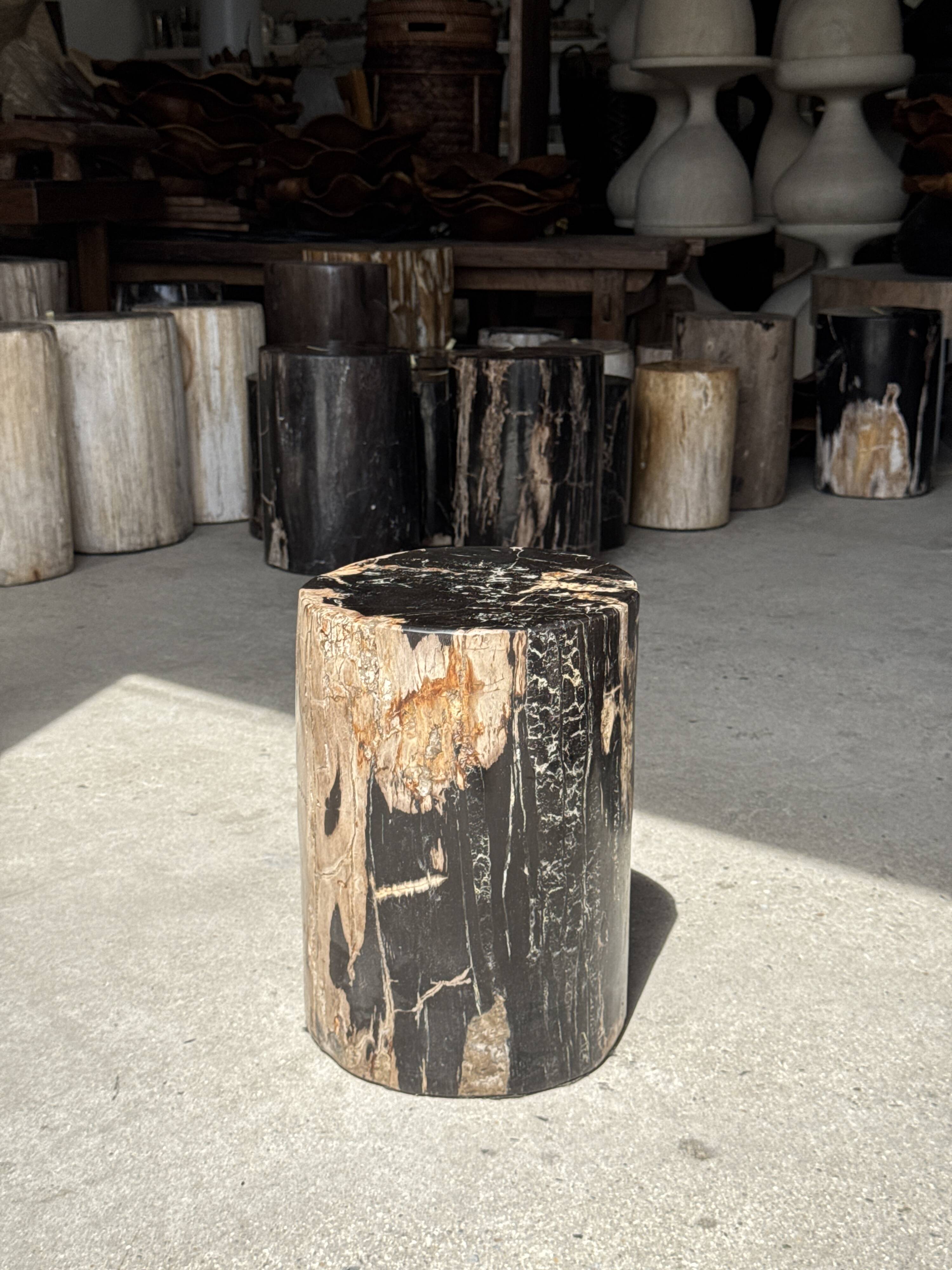 Black petrified wood side table with beige side H35 D24 - 3352