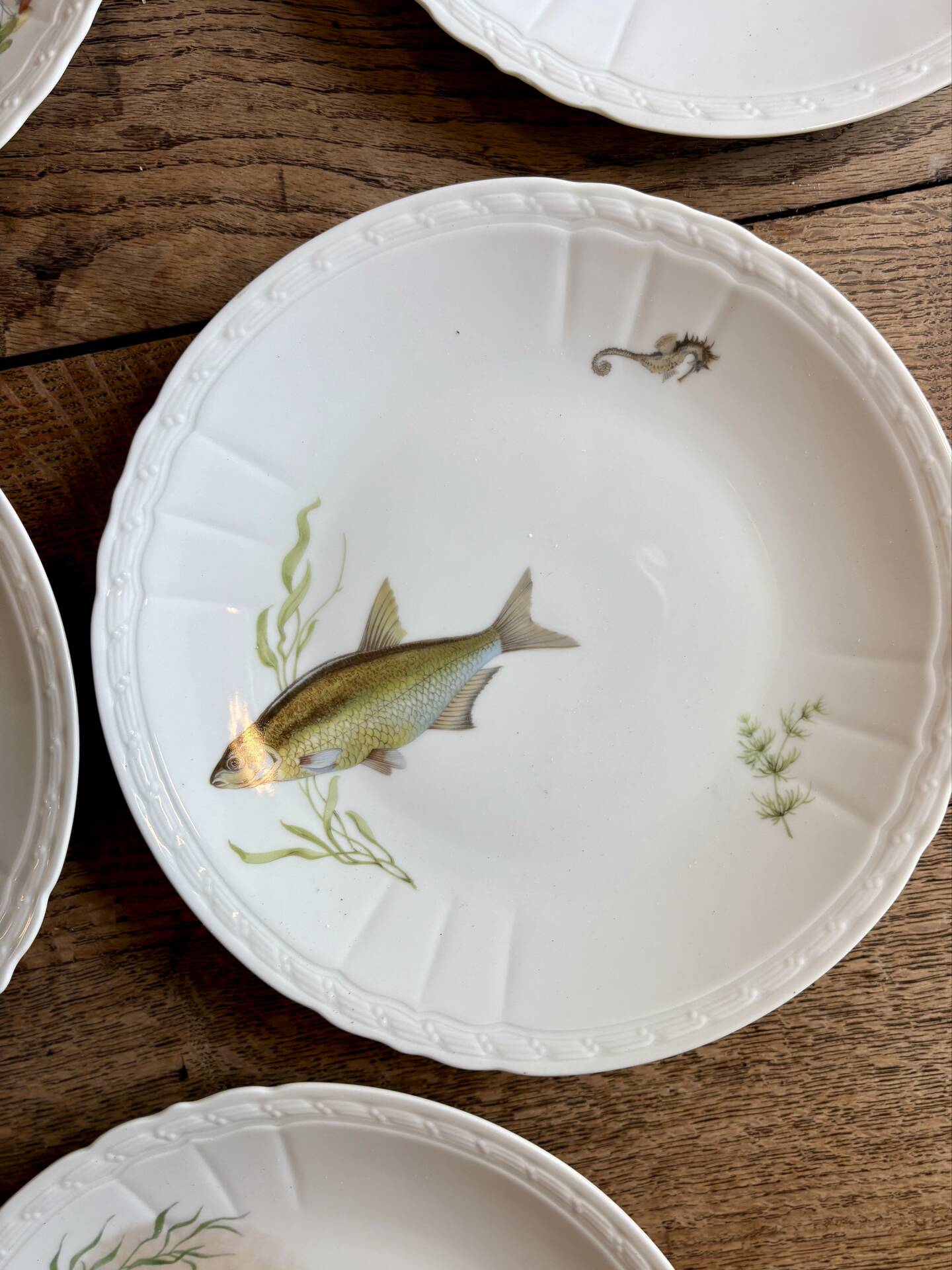 Set of 10 antique flat plates in porcelain, decorated with fish.