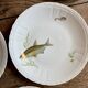 Set of 10 antique flat plates in porcelain, decorated with fish.
