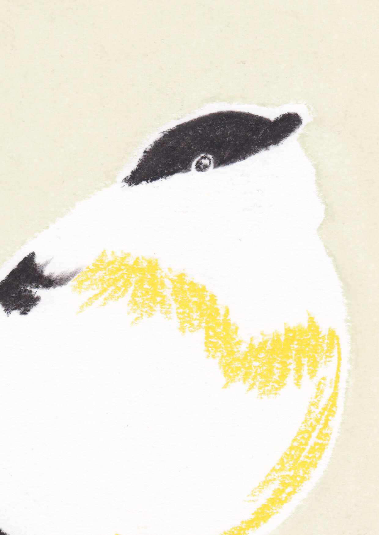 Bird "Candei" - Original Drawing