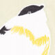 Oiseau "Candei" dessin original