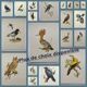Old bird plate from the 1960s - Bittern - Zoological and ornithological illustration