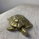 Brass Turtle Ashtray