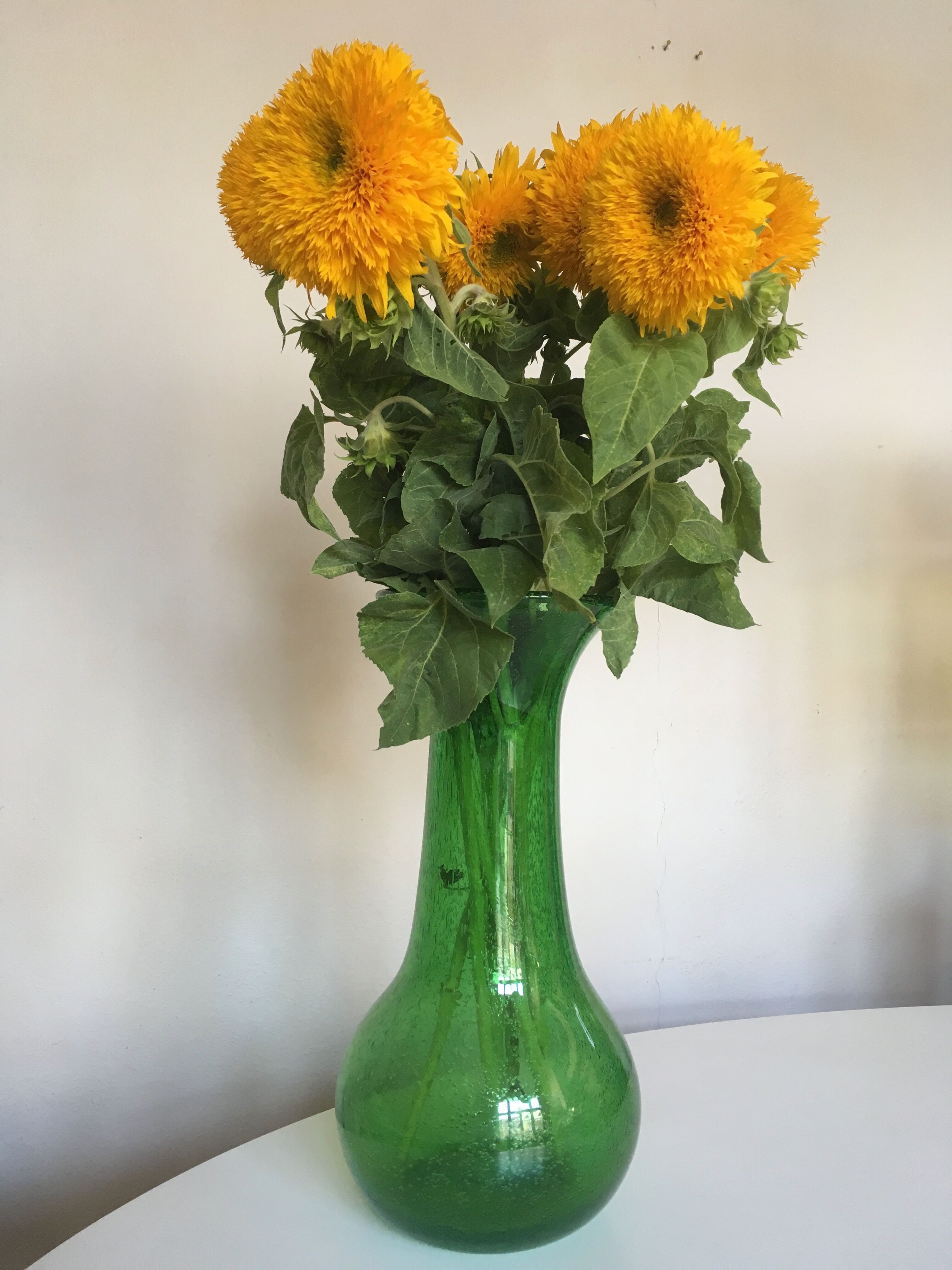 Biot H42cm Mid Century Glass Vase XL