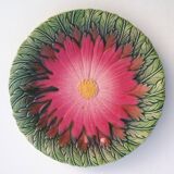 Old bartotine plates