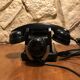 Bakelite phone