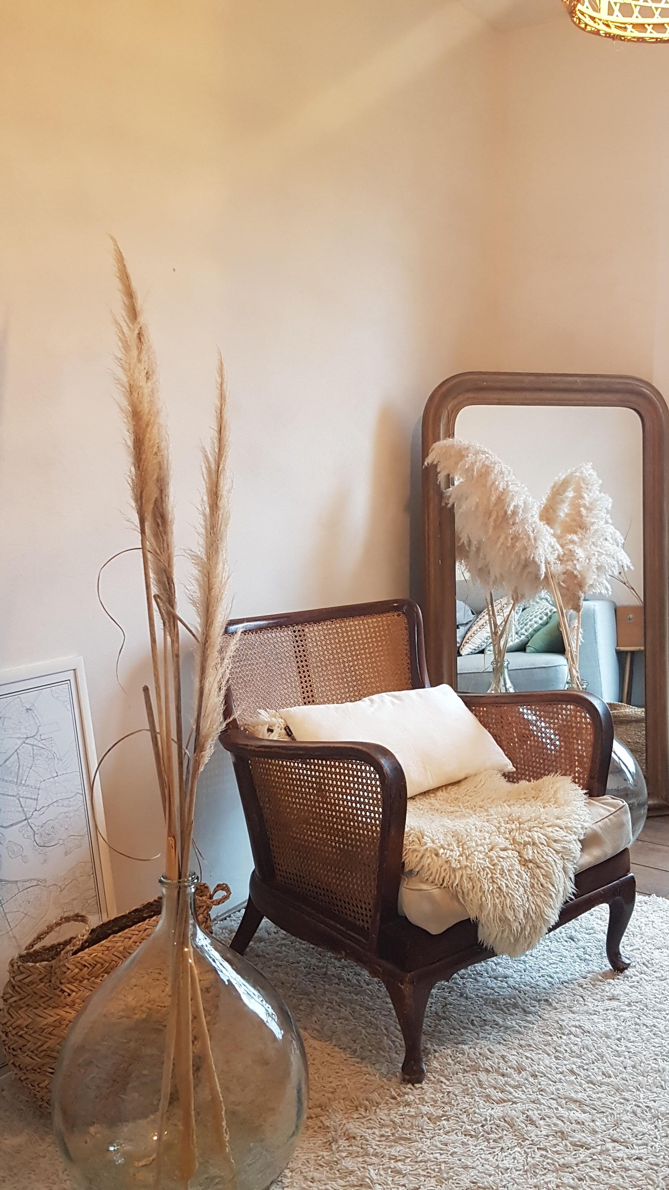 Steiner canna armchair