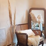 Steiner canna armchair