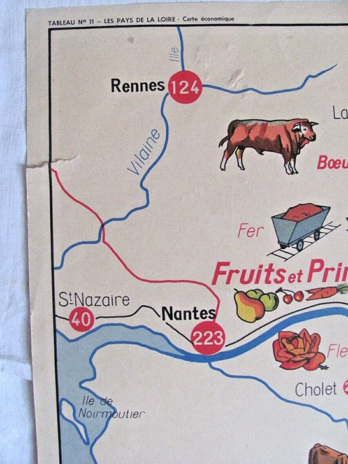 School poster The Loire countries - Brittany and Vendée - economic map