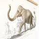 Affiche en couleurs représentant l'éléphant d'Asie