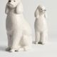 White Hand-Painted Porcelain Poodle Dogs by Lomonosov, Soviet, 1960s, Set of 2