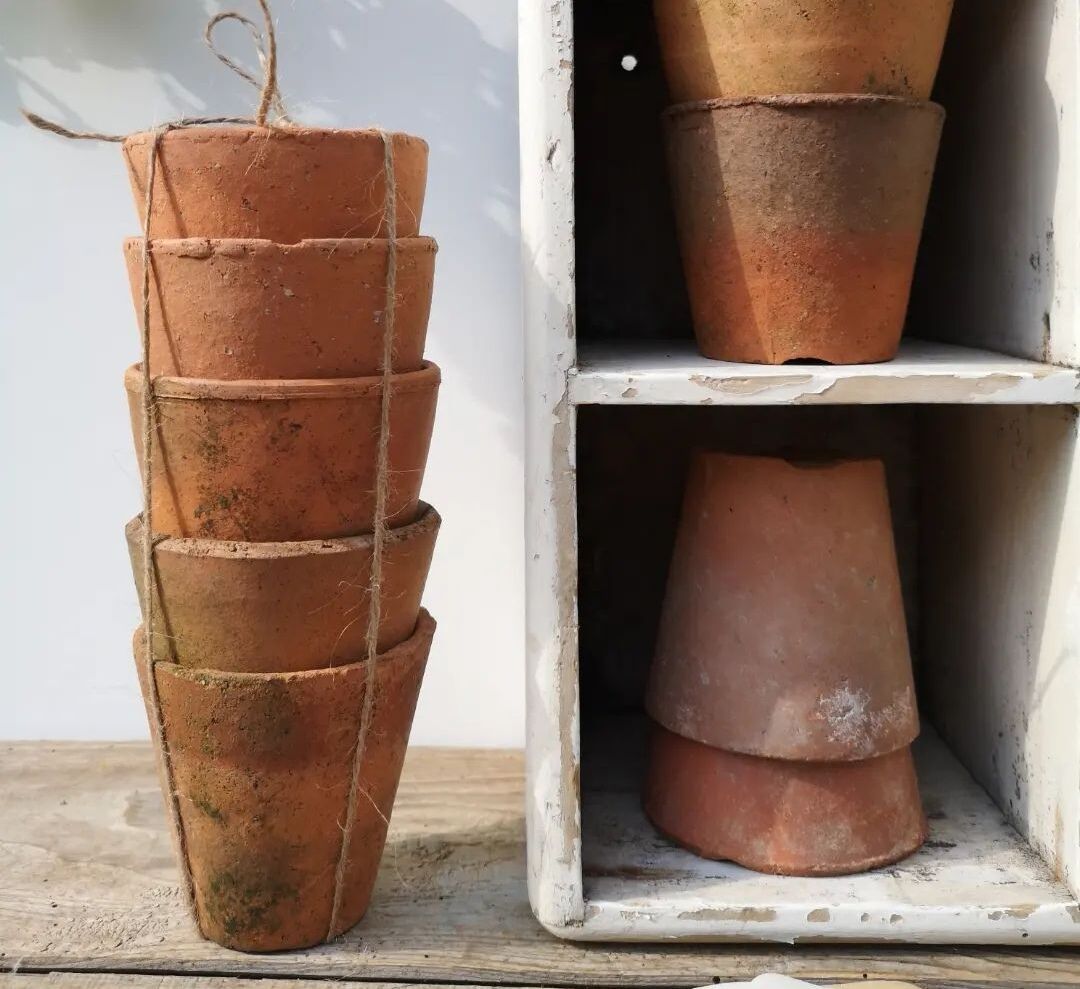 Terracotta seedlings