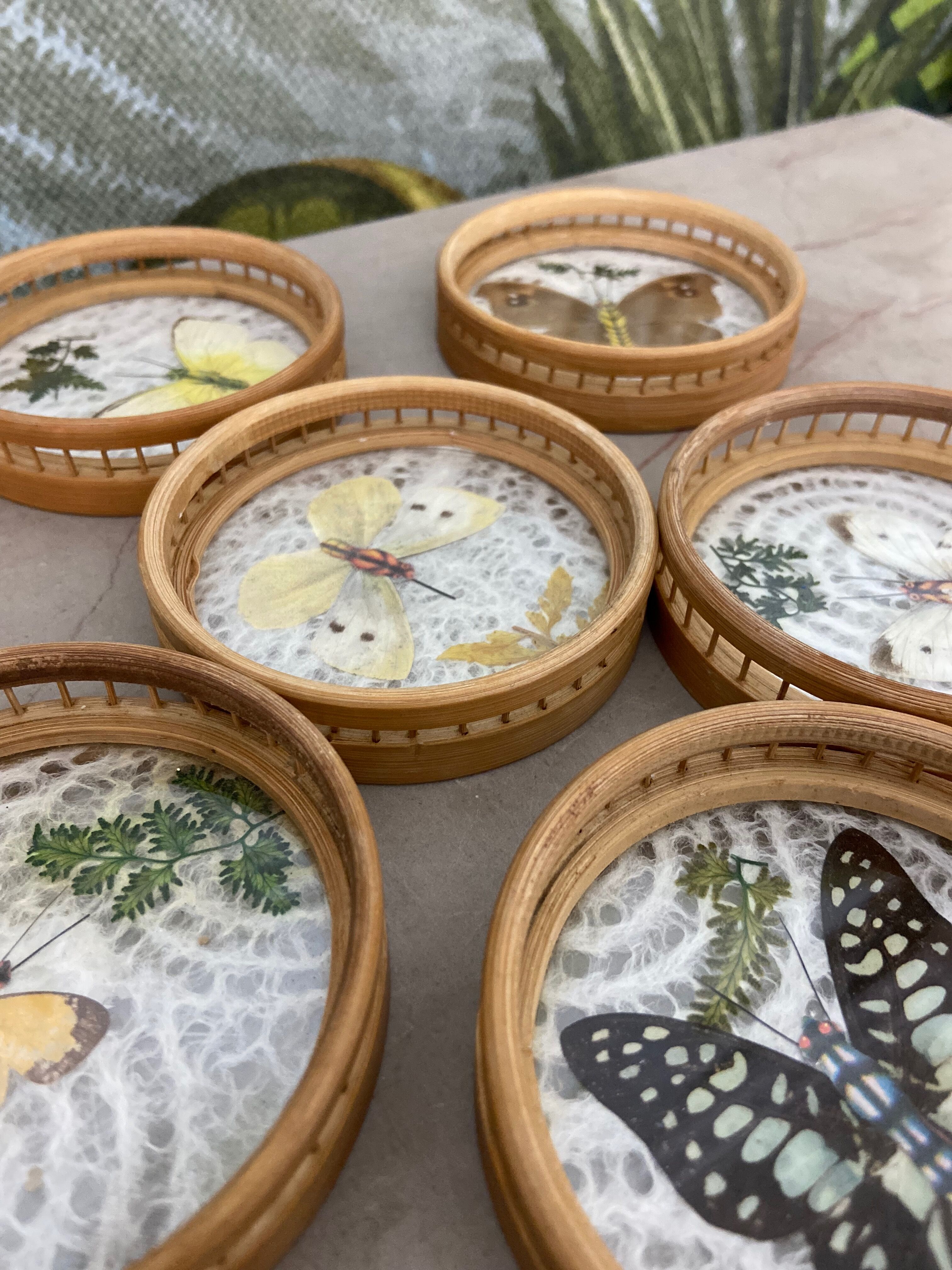 Butterfly coasters
