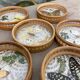 Butterfly coasters
