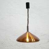 Vintage mount and drop suspension published by Erco