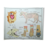 Affiche pédagogique Rossignol "Le lion et les singes" vintage.