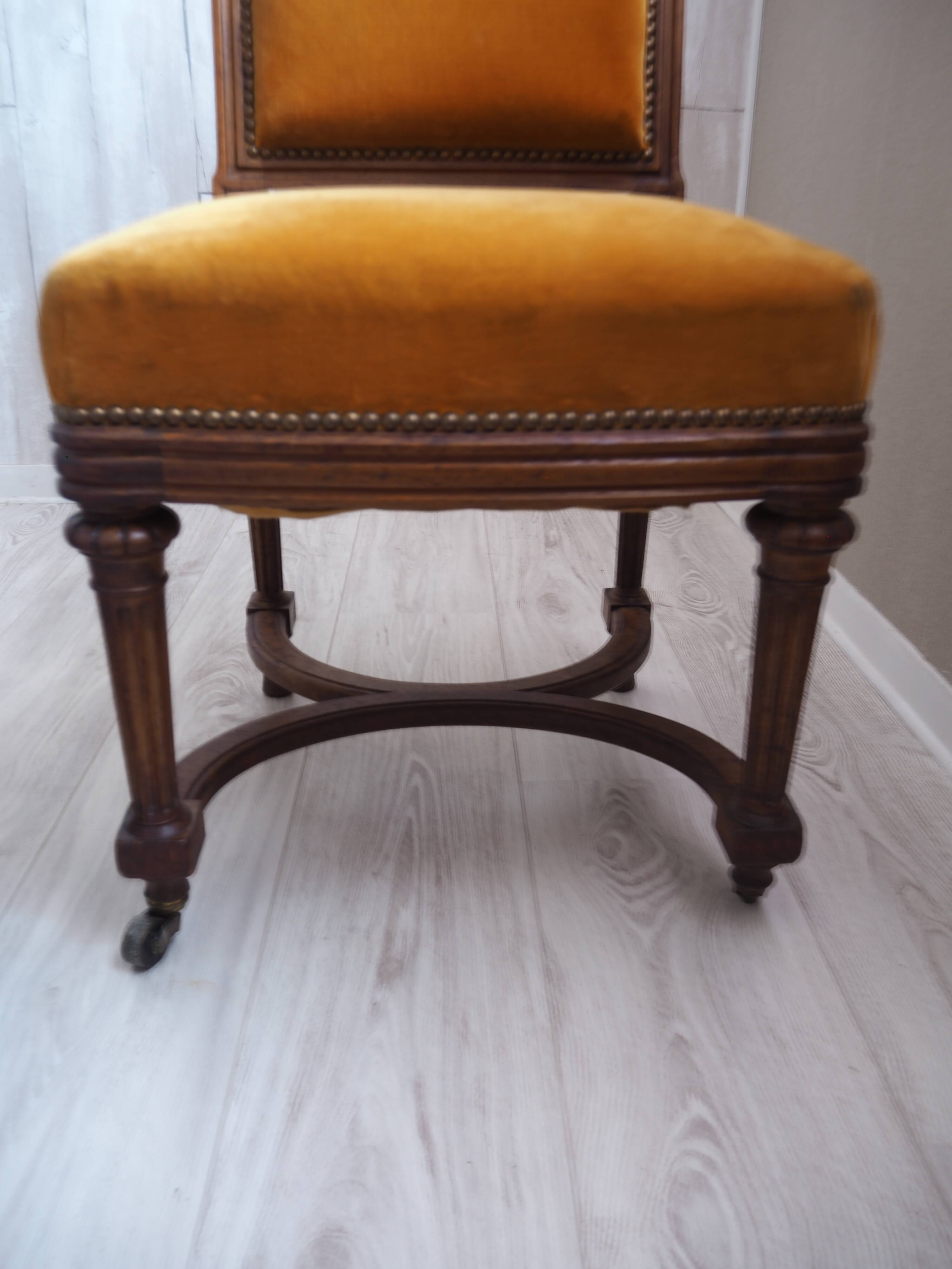 Antique Regency Style padded chair - Wooden structure and horsehair padding - Mustard color