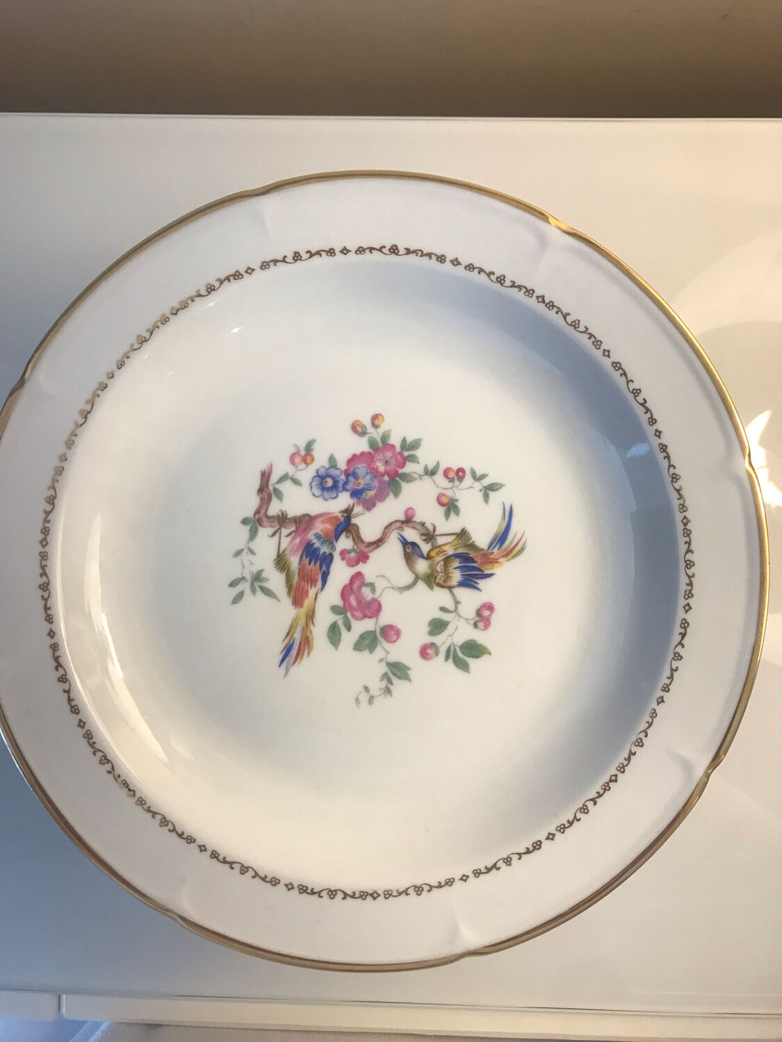 24 fine porcelain plates