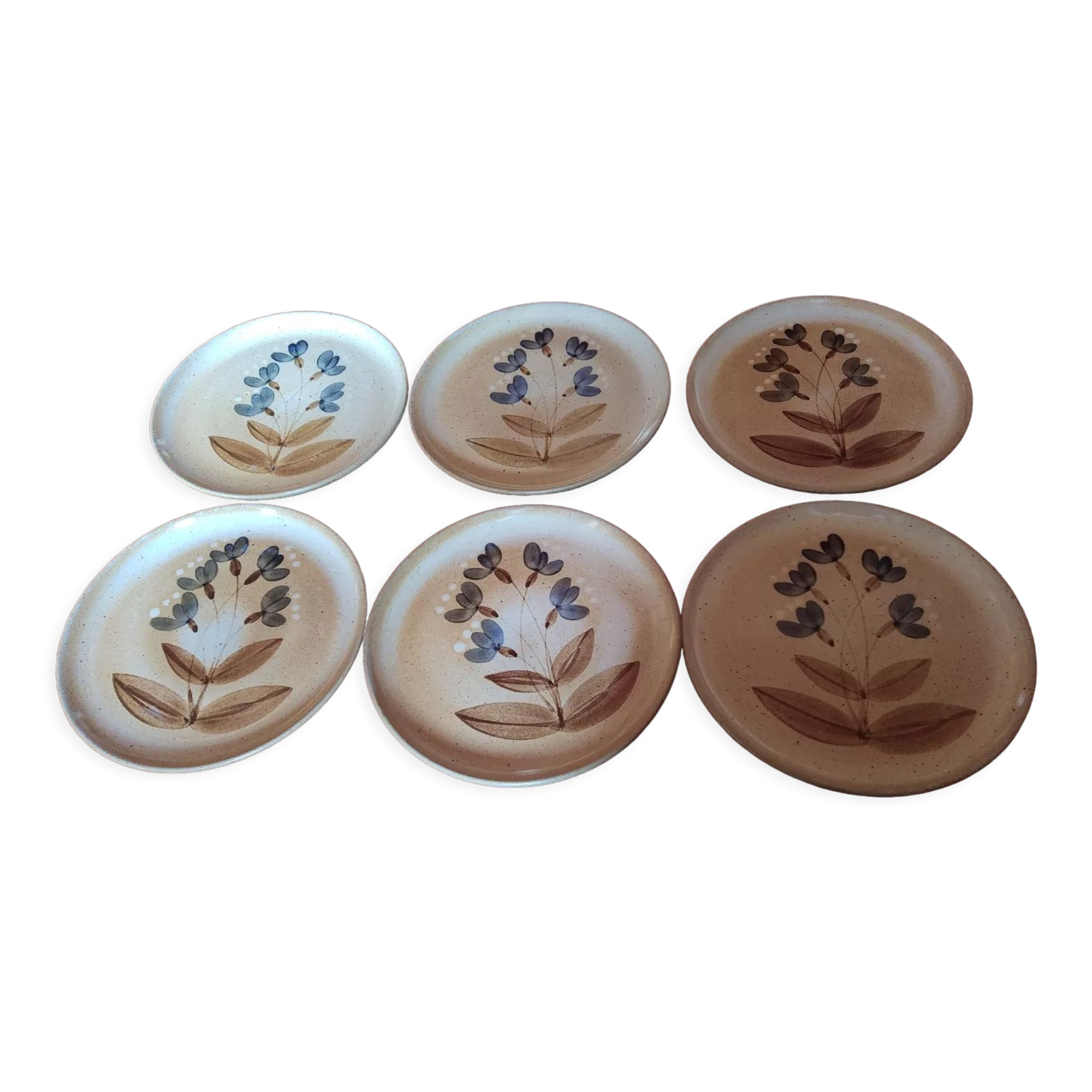 Flat plates sandstone of the marsh