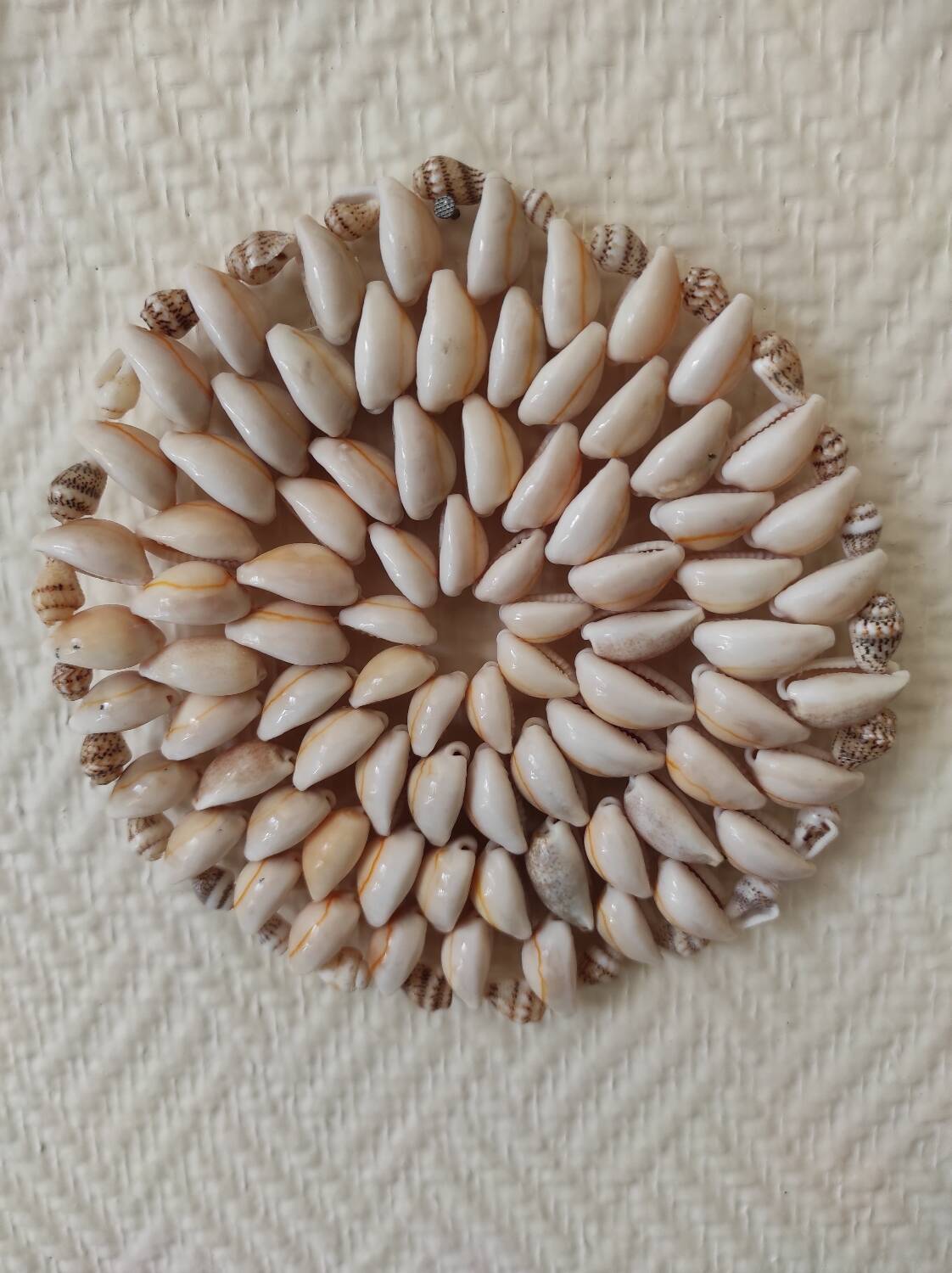 Shell decoration
