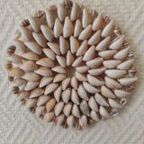 Shell decoration