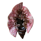 Cup in the shape of pink shell