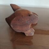 Exotic wood duck