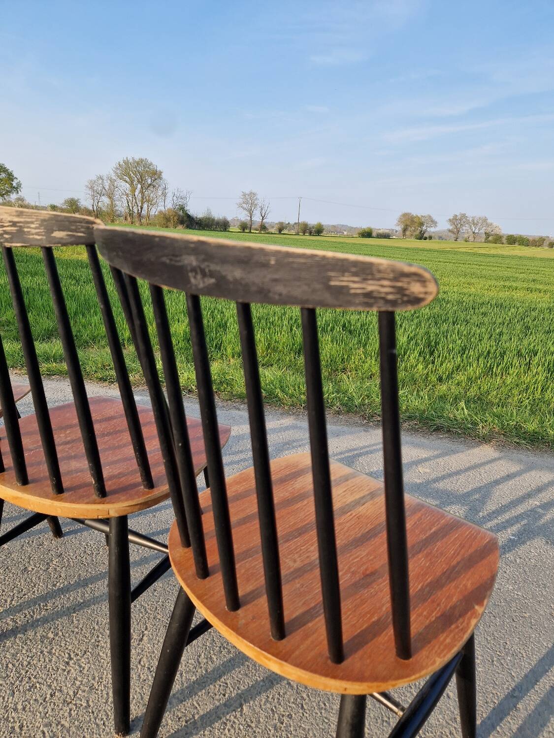 Set of 6 Fannett Scandinavian chairs by Ilmari Tapiovaara 1960.