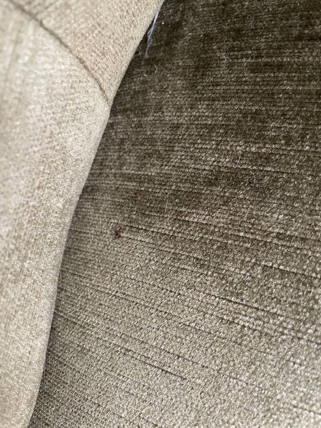 Pair of toad armchairs