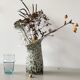 Organic porcelain vase