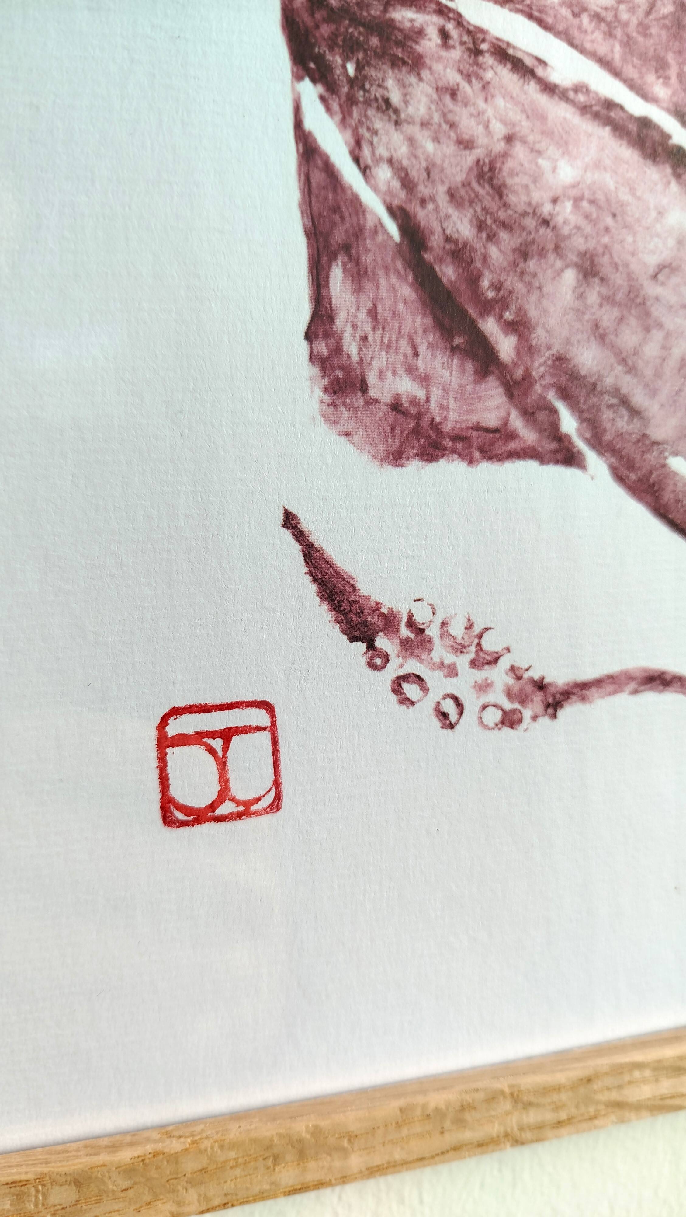 Framed art print, "Print of a squid"