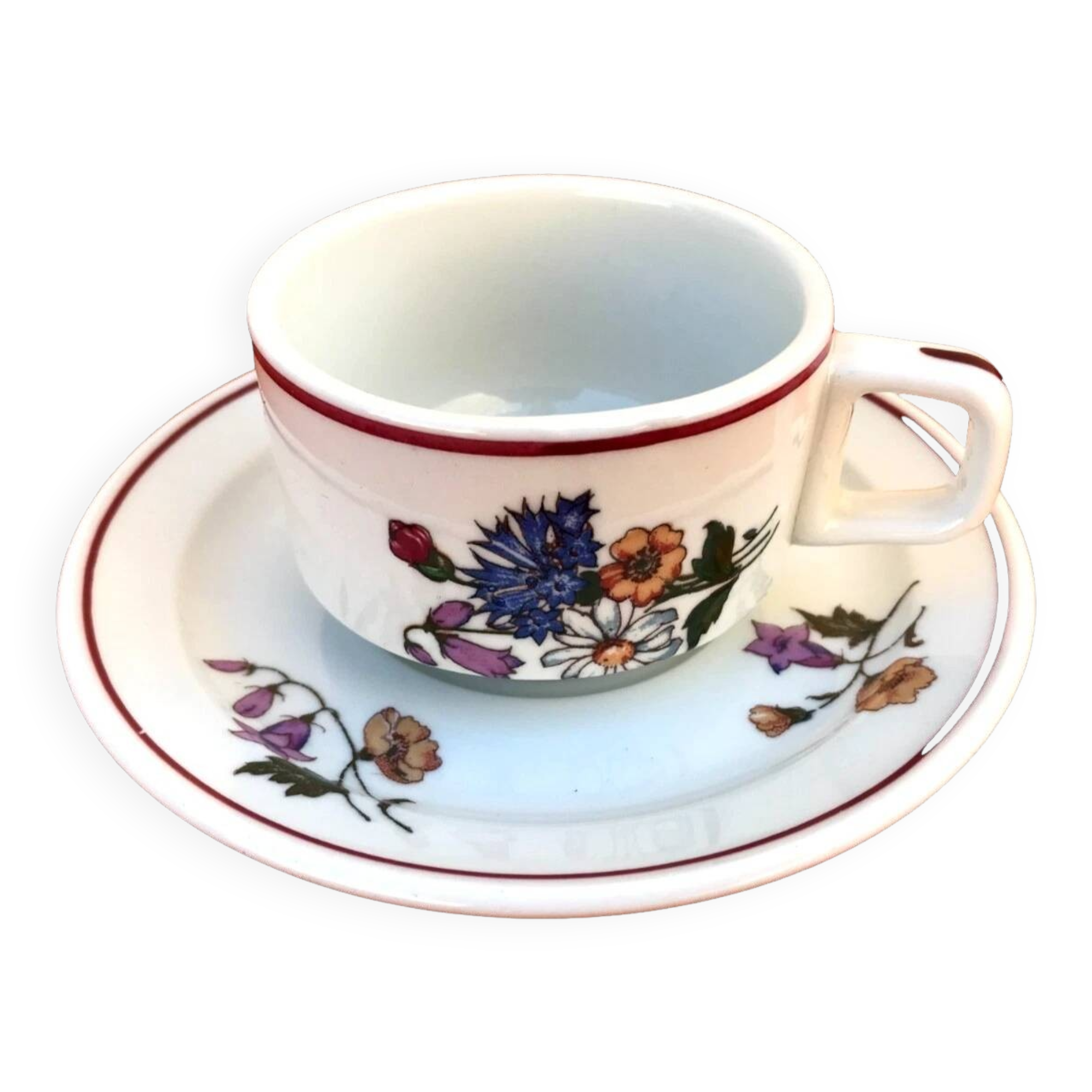 Pyroblan Porcelain Coffee Cup / Saucer Sarreguemines France