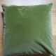 Khaki Green Velvet cushion