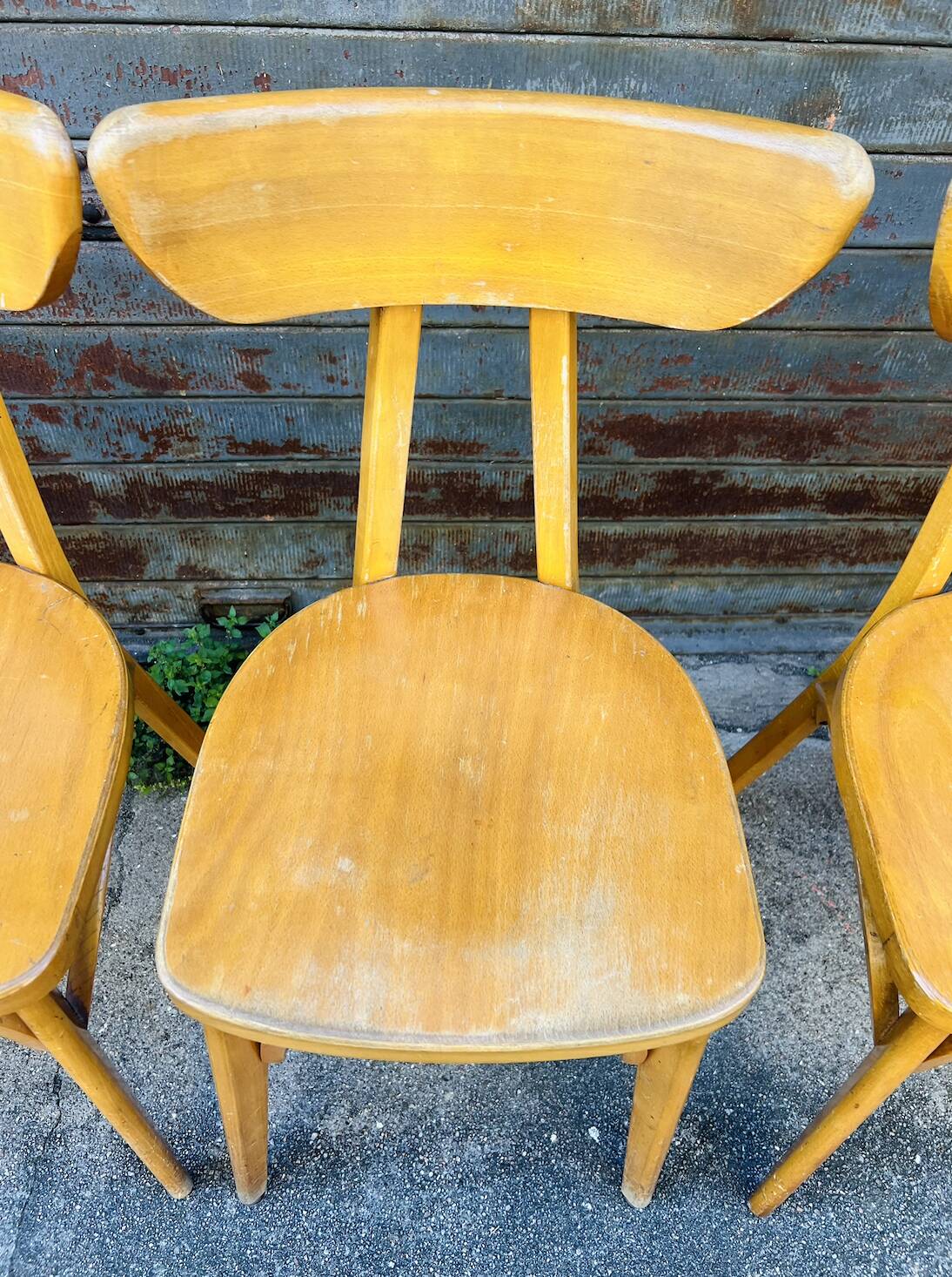 (Lot) 6 Bistro Chairs Lutherma Banana (Light Oak)