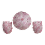 Set of Murano Ceiling Light and 2 Murano Wall Light Pink Flower by Seguso