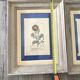 Ancient botanical plank frames