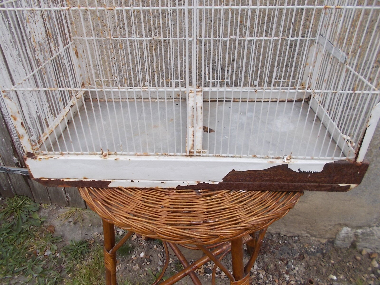 Cage d'oiseaux