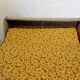Convertible sofa, vintage Ducal bench