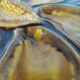 Vallauris oyster plates
