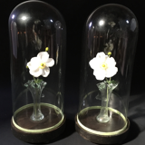 Pair of bridal globes XlXeme Napoleon lll