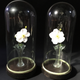Pair of bridal globes XlXeme Napoleon lll