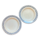 2 blue Salins Iron Earth plates