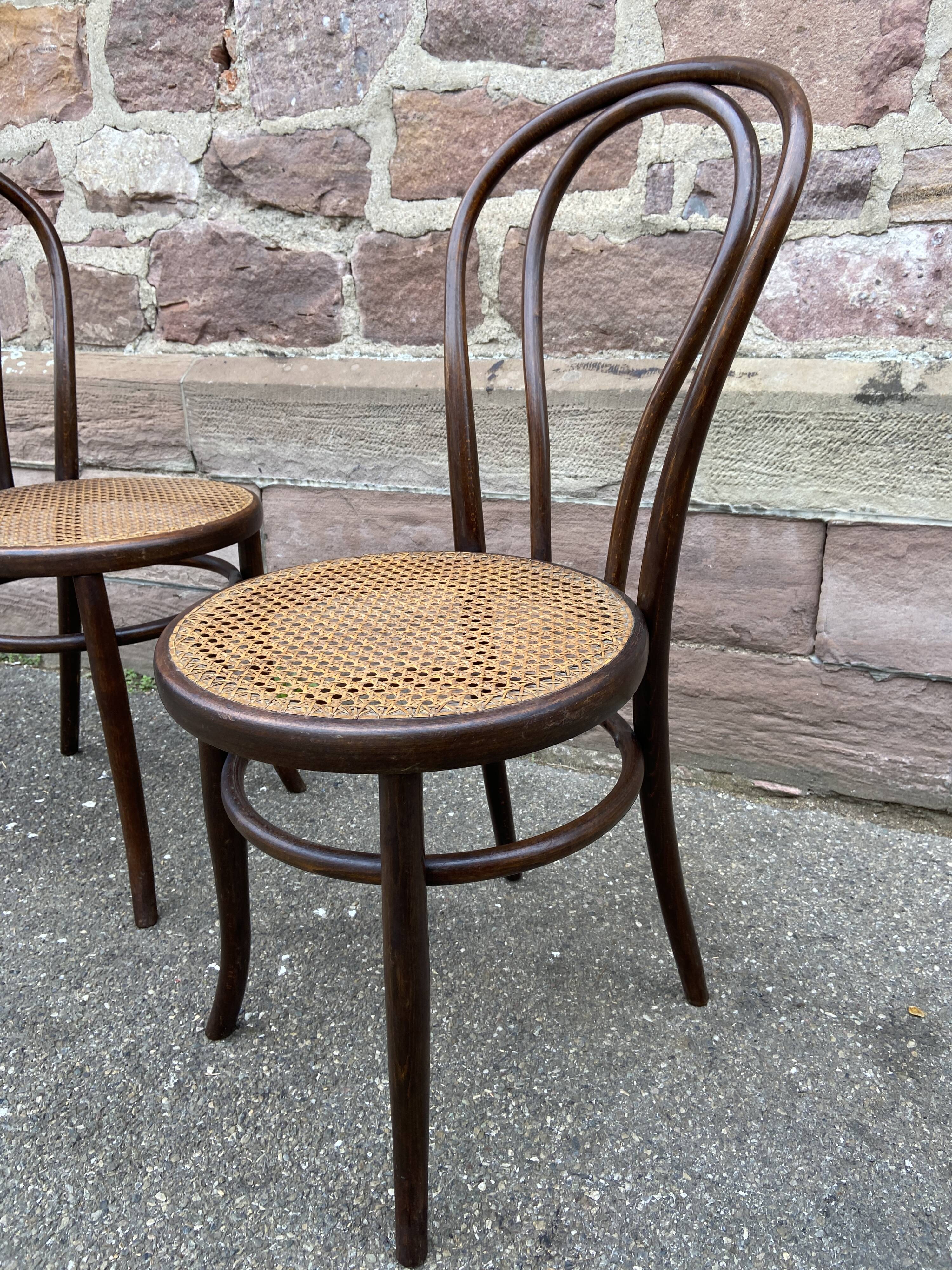 Pair of chairs bentwood Fischel Nr 18 vintage 1920