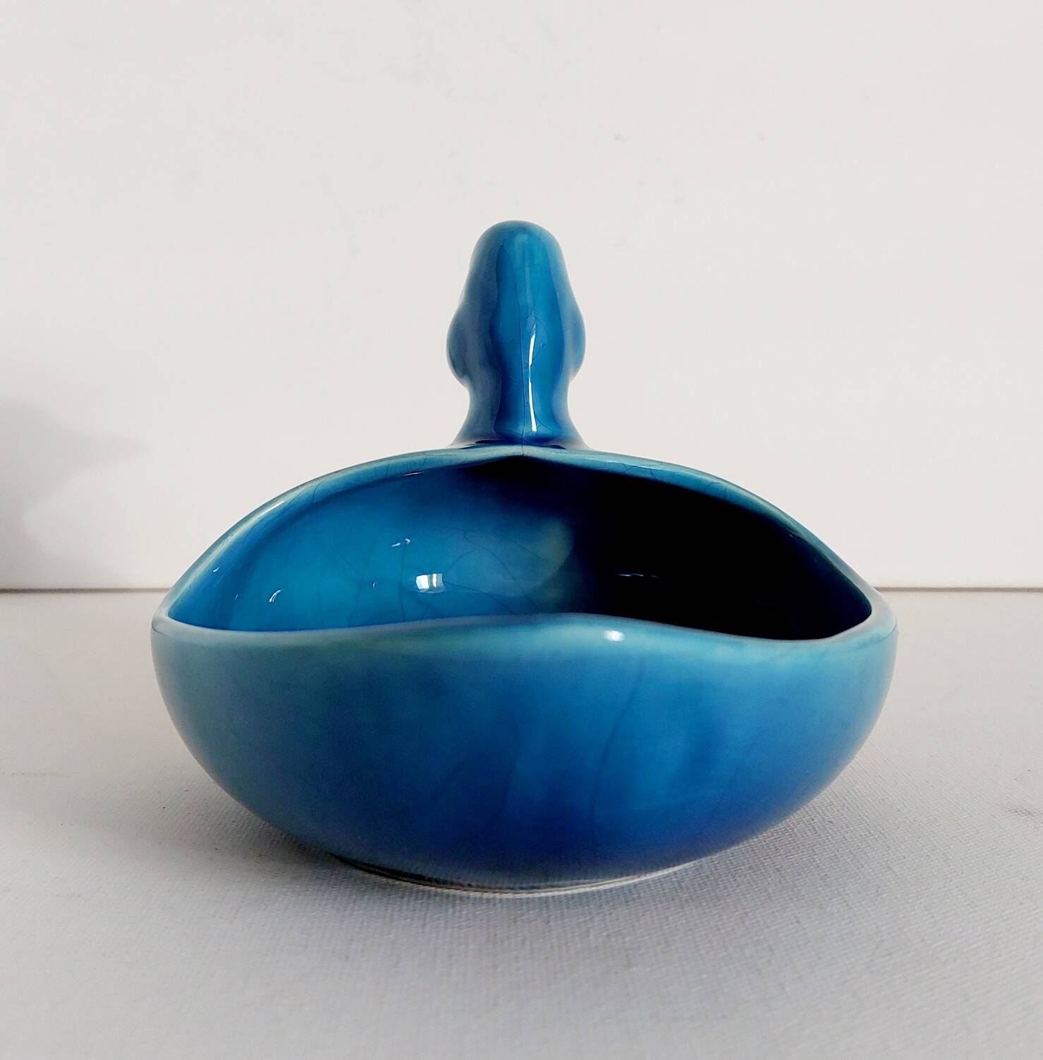 Empty ceramic duck pocket