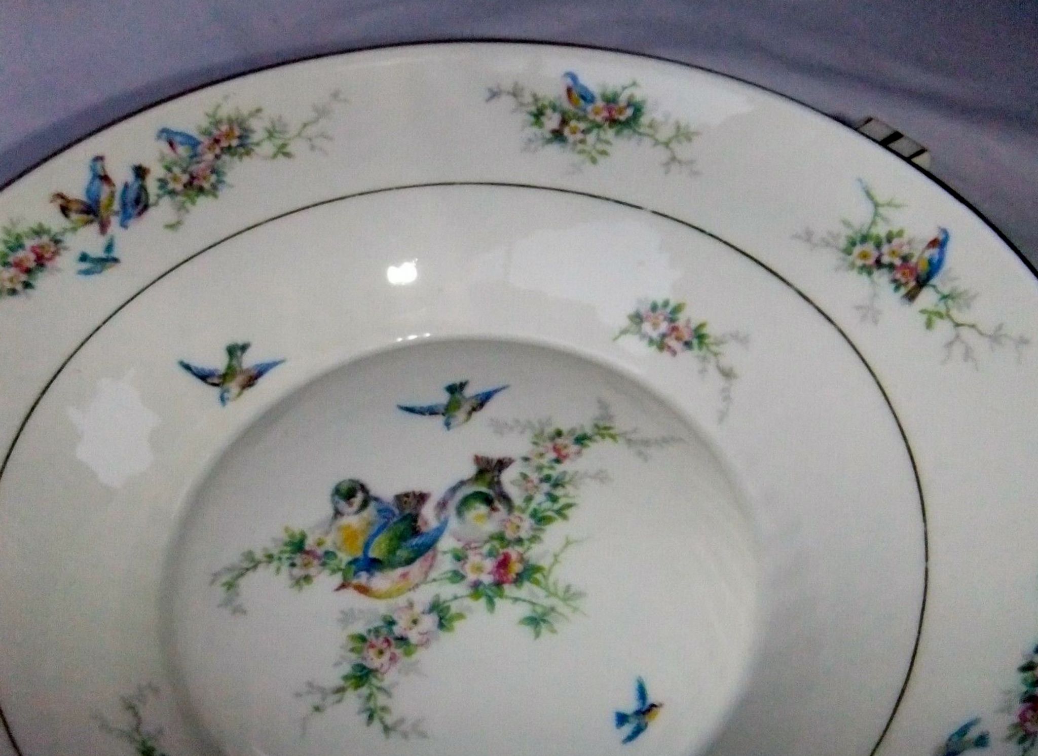 Old dish Chapus Frères Limoges France art deco bird décor Jane Aber Algiers