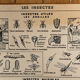 Hatier educational poster 1950