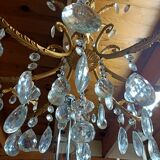 Grape variety chandelier